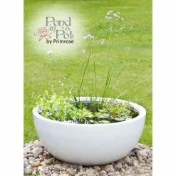 H34cm White Pond-In-A-Pot Wildlife-Friendly Water Feature